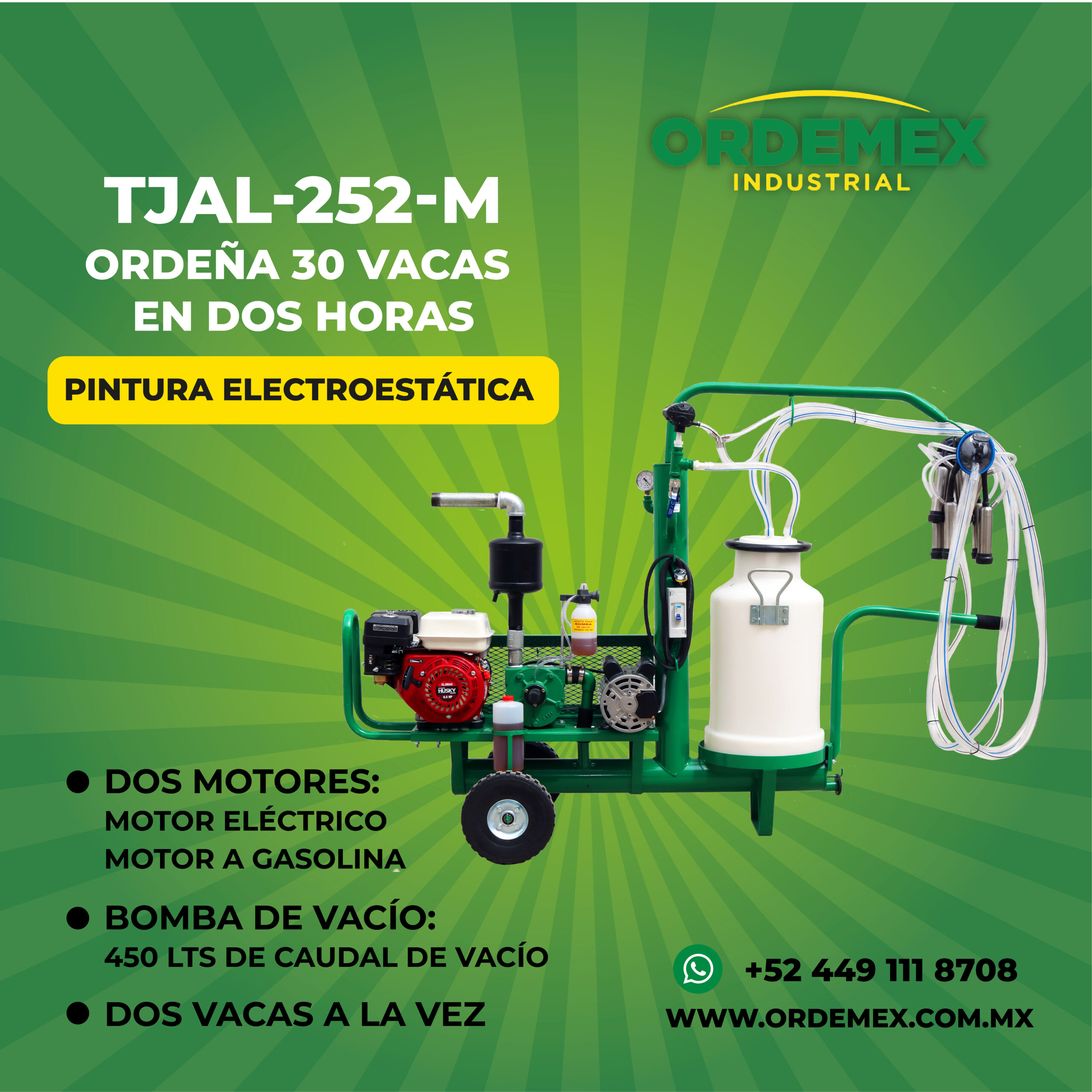 252M verde-02